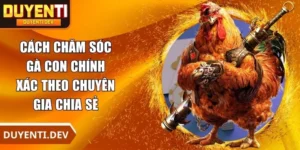 Cách Chăm Sóc Gà Con