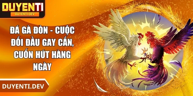 Đá Gà Đòn