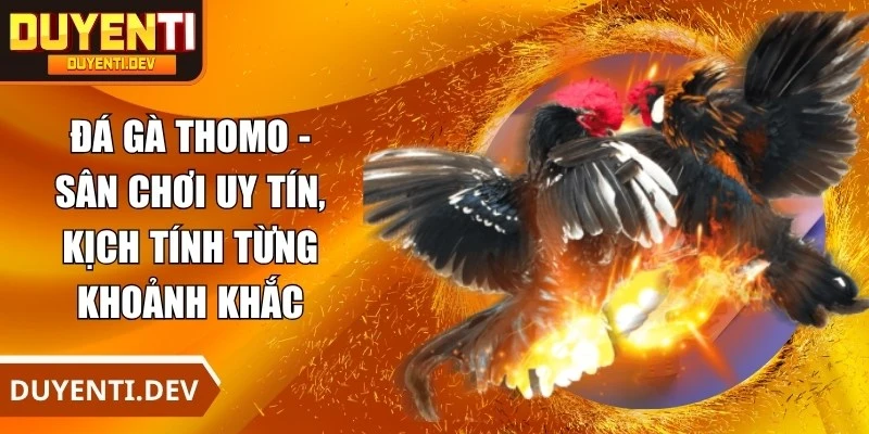 Đá Gà Thomo