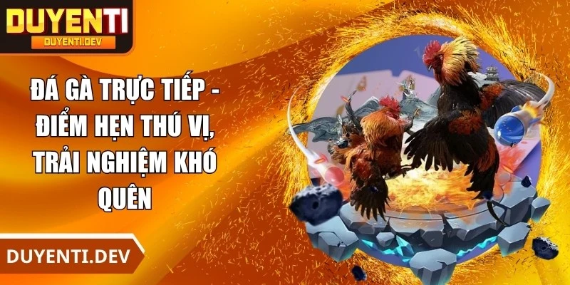 Đá Gà Trực Tiếp