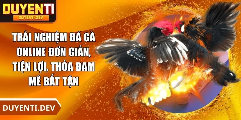 Trải nghiệm đá gà online đơn giản, tiện lợi, thỏa đam mê bất tận