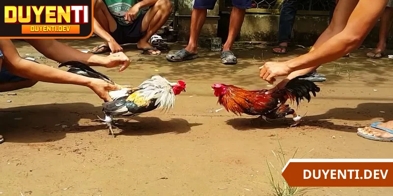 Giới thiệu DUYENTI về mục tiêu xây dựng thương hiệu bền vững