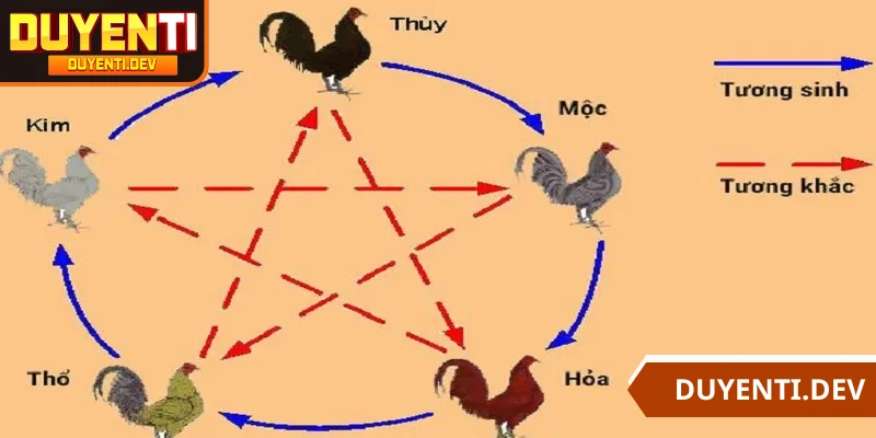 Gà đá thuộc mệnh Hỏa cũng là một trong những nhóm được săn đón