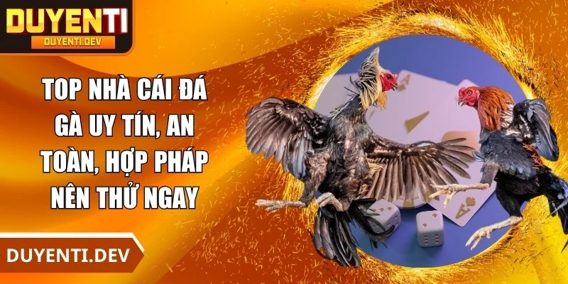 Top Nhà Cái Đá Gà